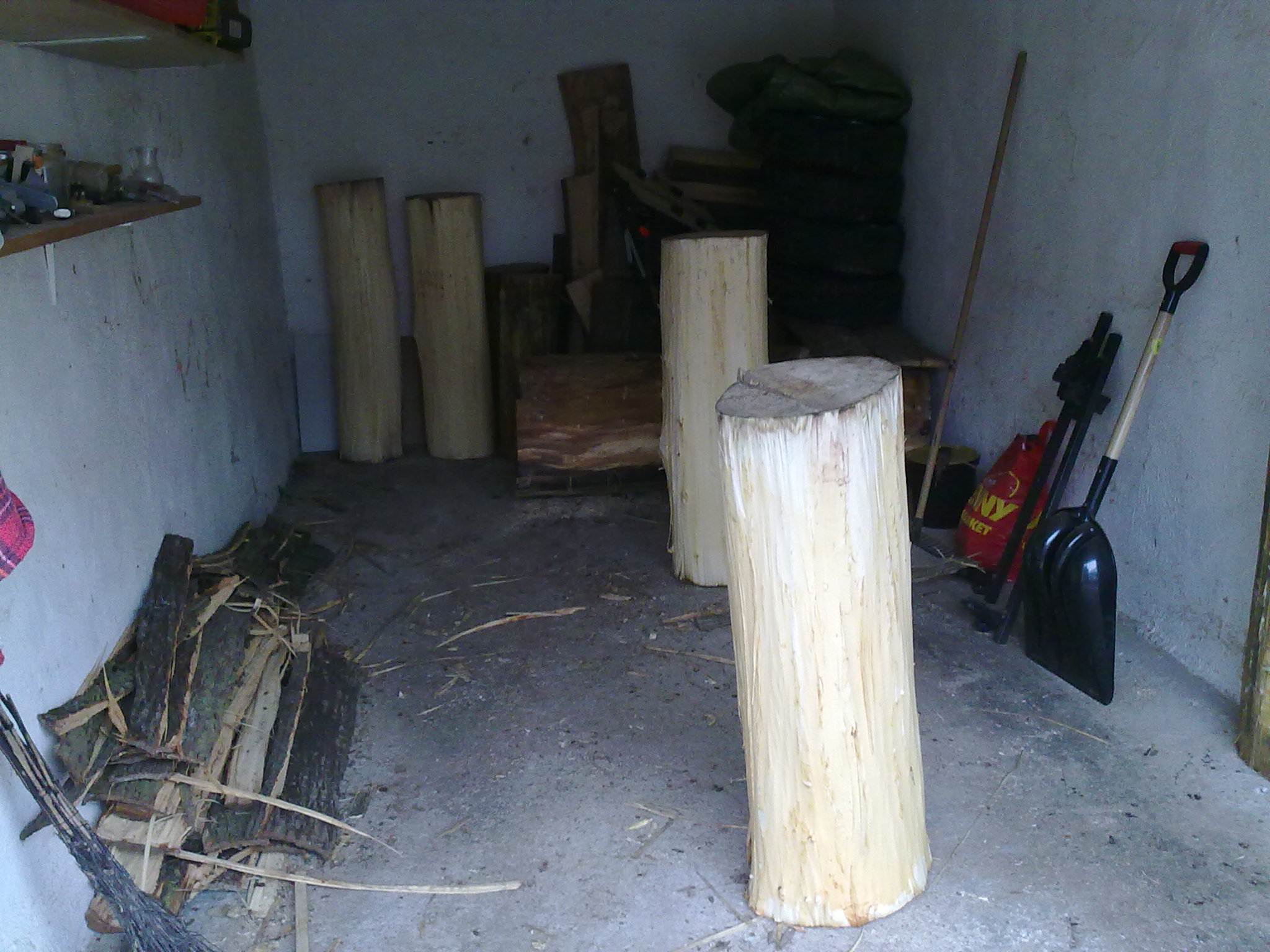 10042010279.jpg